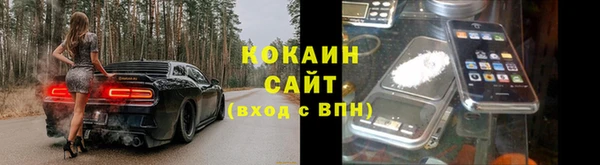 прущие грибы Богданович