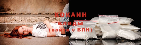 прущие грибы Богданович