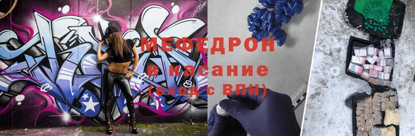прущие грибы Богданович