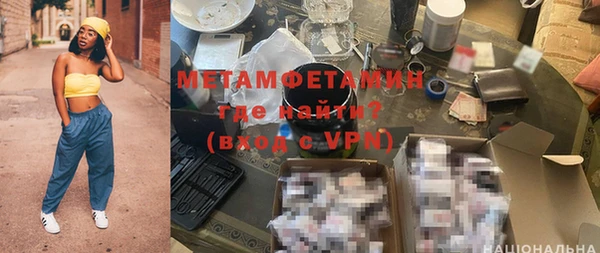 прущие грибы Богданович