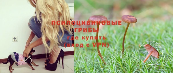 mdpv Богородск