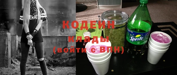 прущие грибы Богданович